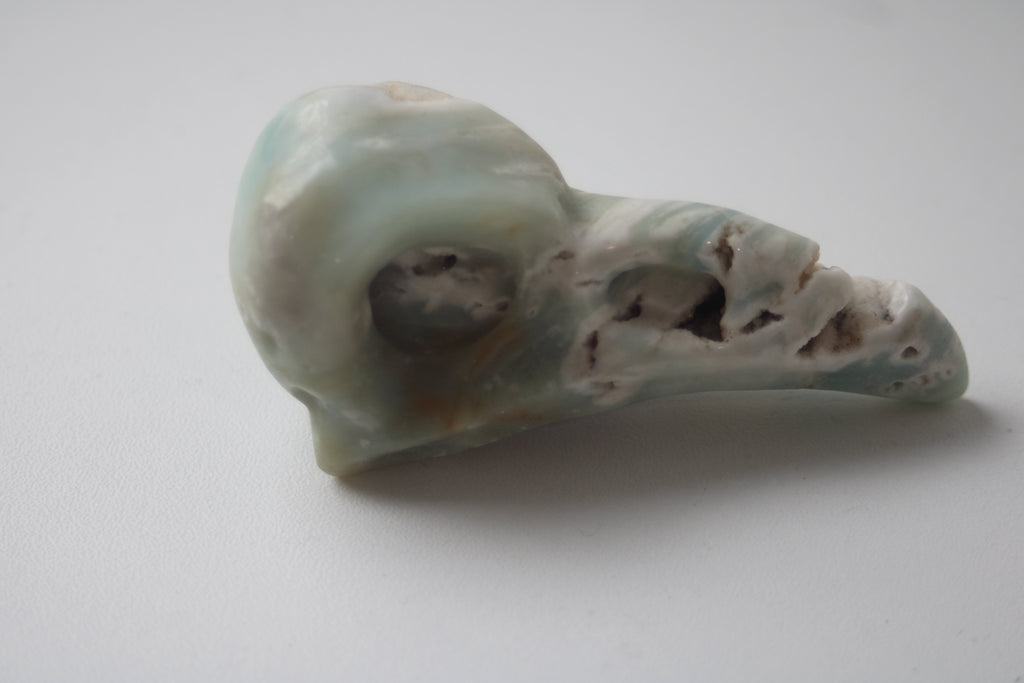 Voyagez aux confins de l'intuition avec ce crâne de corbeau en aragonite bleue, un gardien de sagesse qui diffuse une onde de sérénité absolue dans votre intérieur