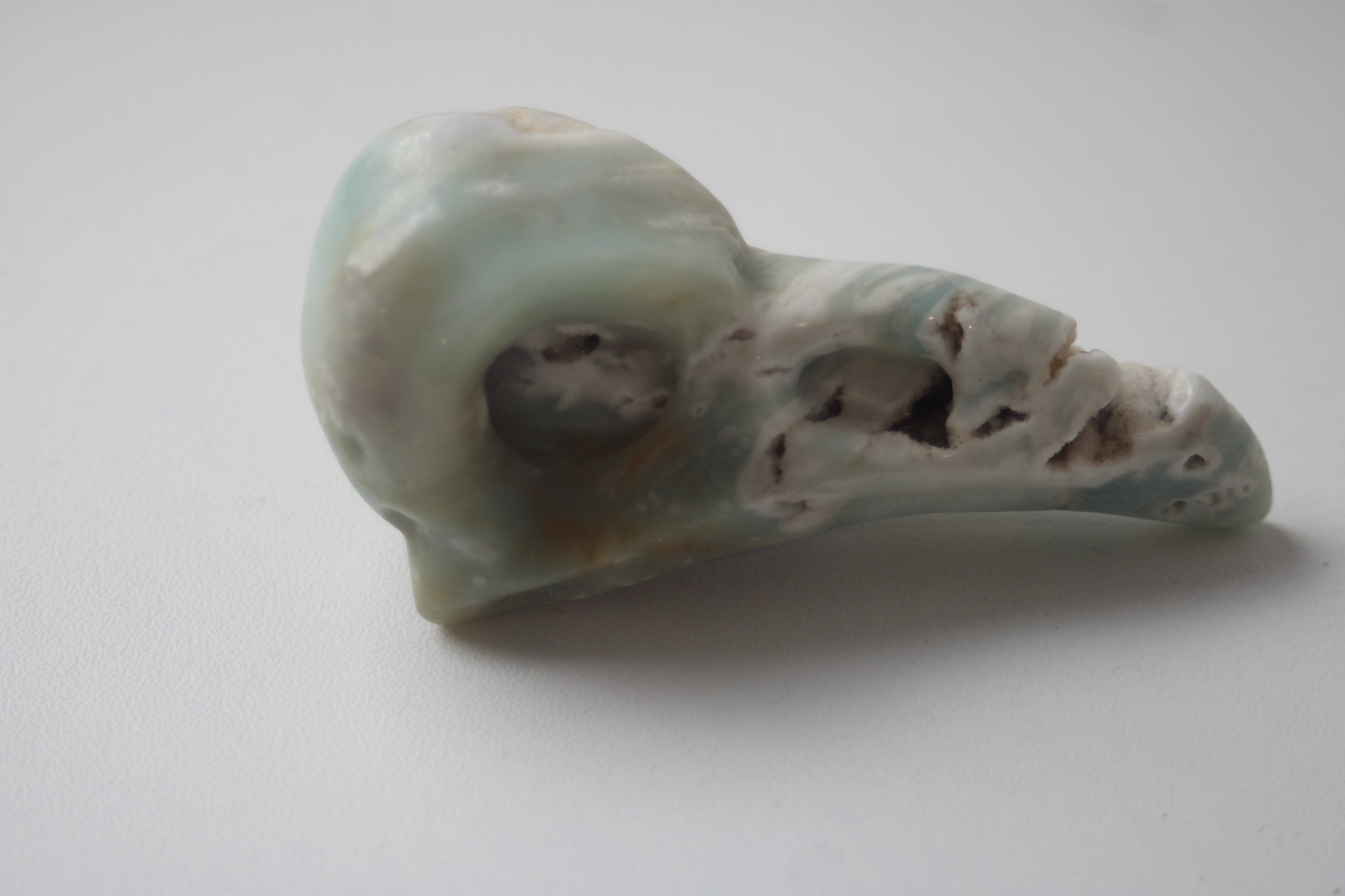 Voyagez aux confins de l'intuition avec ce crâne de corbeau en aragonite bleue, un gardien de sagesse qui diffuse une onde de sérénité absolue dans votre intérieur