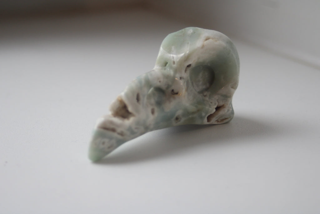 Voyagez aux confins de l'intuition avec ce crâne de corbeau en aragonite bleue, un gardien de sagesse qui diffuse une onde de sérénité absolue dans votre intérieur